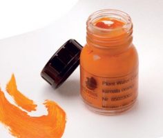 Acquerello vegetale in pasta flacone in vetro da 25 ml