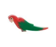 Pappagallo rosso Ostheimer