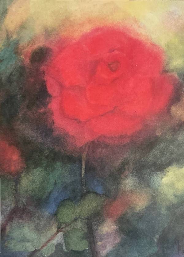 Serie 5 cartoline Fiori - M.Fulgosi - immagine 2