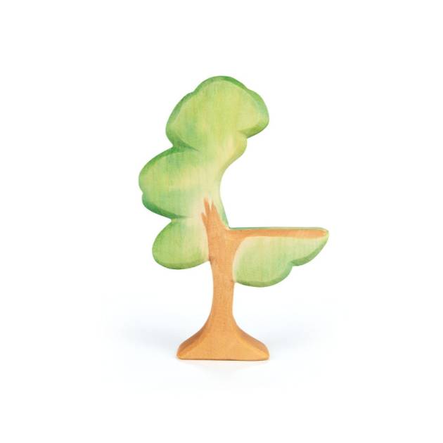 Albero Eucalipto